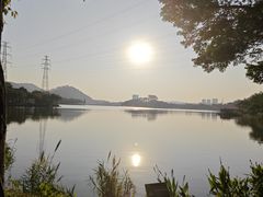 -顺峰山公园