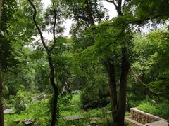 -镇江市南山风景名胜区竹林景区