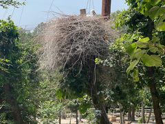 -哈尔滨北方森林动物园