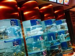 -香坝坝鲜鱼火锅(春熙路店)