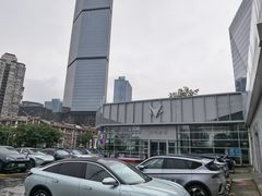 -北汽鹏龙ARCFOX极狐(国贸店)