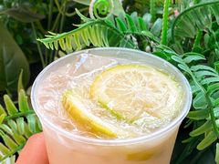 -古茗(番禺万达金街)