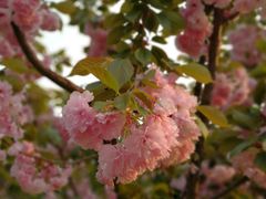 -龙口南山旅游景区