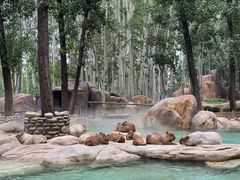 -北京野生动物园