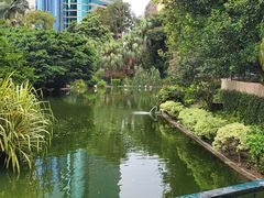 -九龙公园
