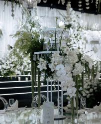 -汾阳花园酒店·宴会厅