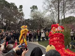 -无锡梅园公园