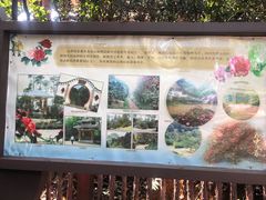 -南山植物园
