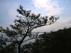 -燕窝岭