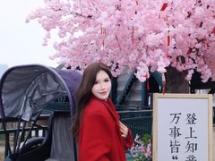 -武汉知音号