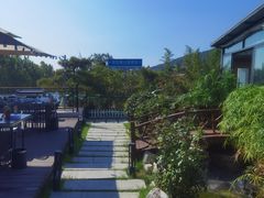 -蘇河湾·新鲁菜·泰山宴(泰山店)