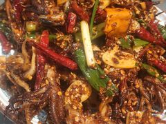-金龙烧烤·牛肉面(西塔店)