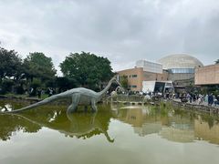 -自贡恐龙博物馆