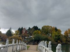 -黑龙潭公园