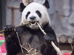 -栾川竹海野生动物园