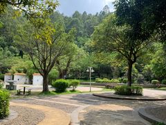-滴水岩森林公园