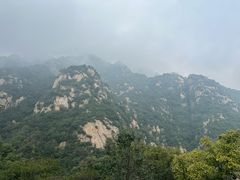 -大岭沟猕猴桃谷风景区