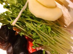 -温野菜涮涮锅(西单大悦城店)