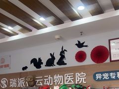 -瑞派·关忠动物医院猫科外科·异宠·24小时转诊中心(祥云店)
