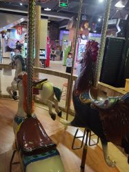 -卡通尼·Safari非洲探索乐园·生日会(金桥国际商业广场店)