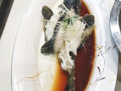 清蒸龙胆石斑鱼-鑫悦楼煎蟹·16年海鲜大排档