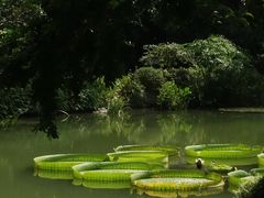 -云溪植物园
