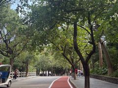 -水濂山森林公园