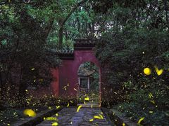 -灵谷景区