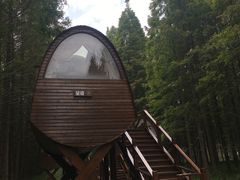 -黄海国家森林公园