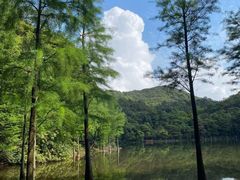 -广州市石门国家森林公园
