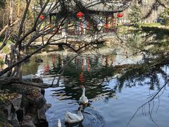 -水绘园