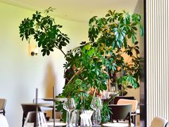 -AKARI by GUU'S融合西餐·生日·纪念日氛围餐厅