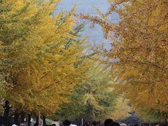 -辽宁大学(崇山校区)