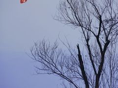 -西昌邛海湿地
