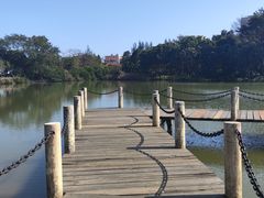 -中澳友谊花园