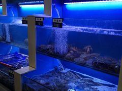 -老虎滩大连海鲜烧烤(建邺云锦路总店)