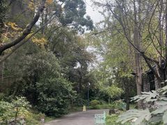 -鱼凫人家