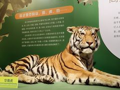 -浙江自然博物院(杭州馆)