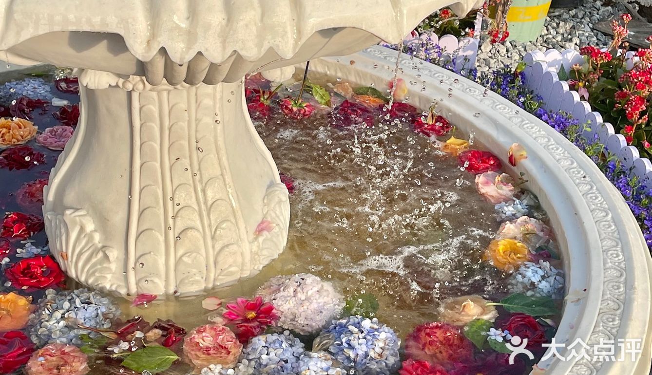 绣球花真的好温柔💐海如的花园
