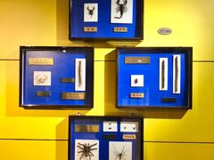 -上海昆虫博物馆