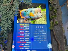 -合肥海洋世界