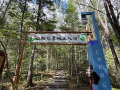 -汤旺河林海奇石景区