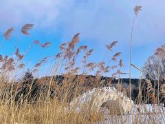 -棋盘山冰雪大世界
