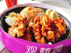 铁板煎鸡饭-清华大学-观畴园餐厅