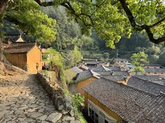 -杨家堂村
