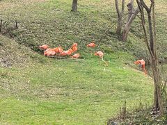 -合肥野生动物园
