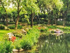 -徐家汇公园