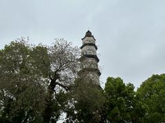 -麦当劳(南后街店)