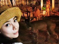 -清迈夜间动物园