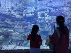 -左海海底世界